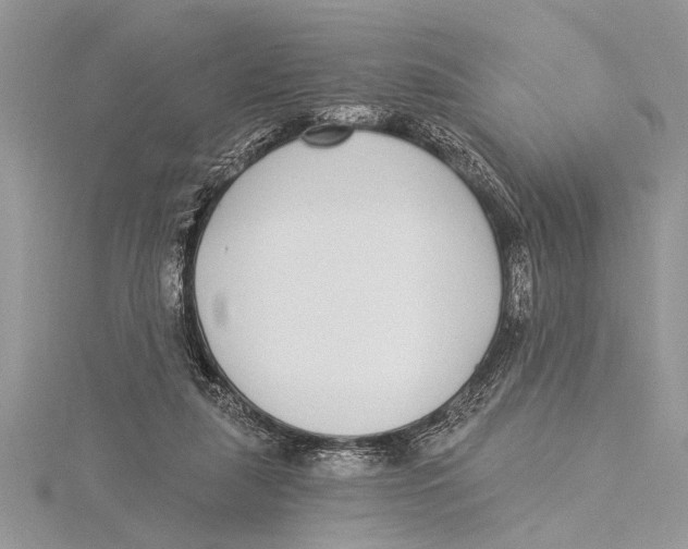 X0000115430259200912020930