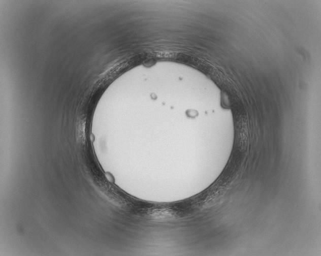 X0000115430262200912020930