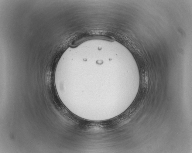 X0000115430263200912020930