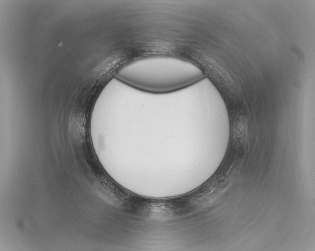 X0000115430264200912020930