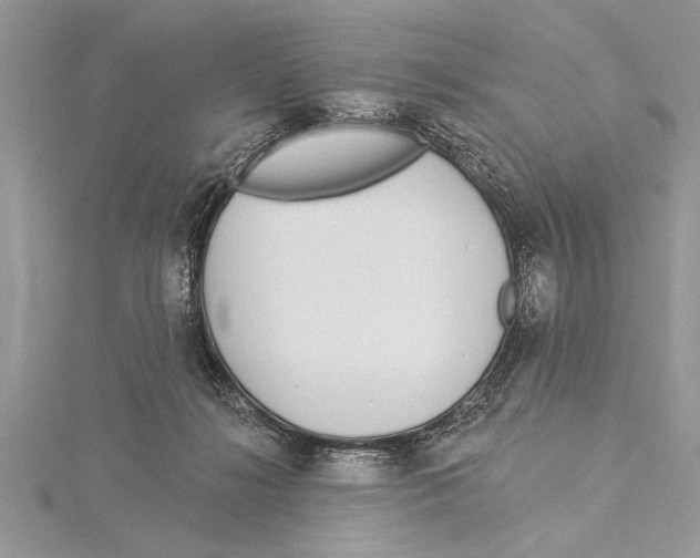 X0000115430268200912020930