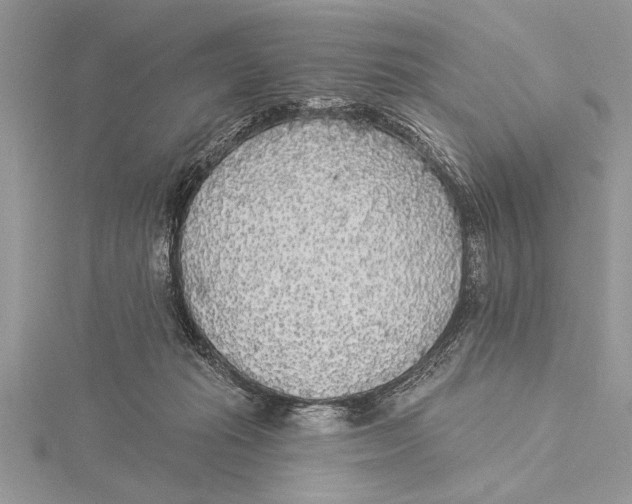 X0000115430269200912020930