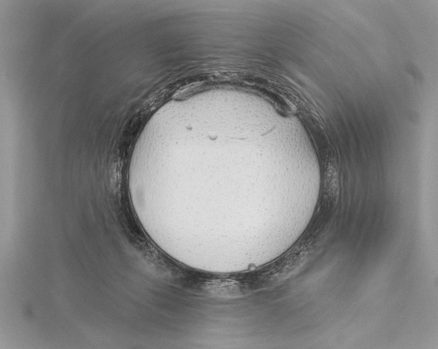 X0000115430271200912020930