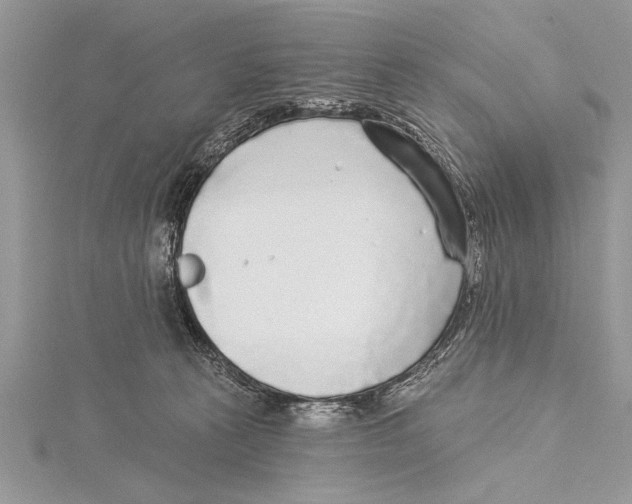 X0000115430273200912020930