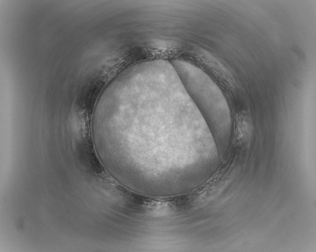 X0000115430276200912020930