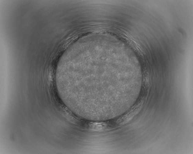 X0000115430277200912020930