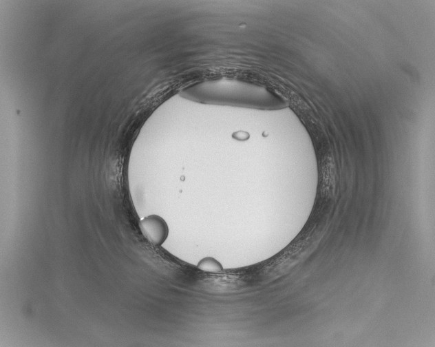 X0000115430278200912020930