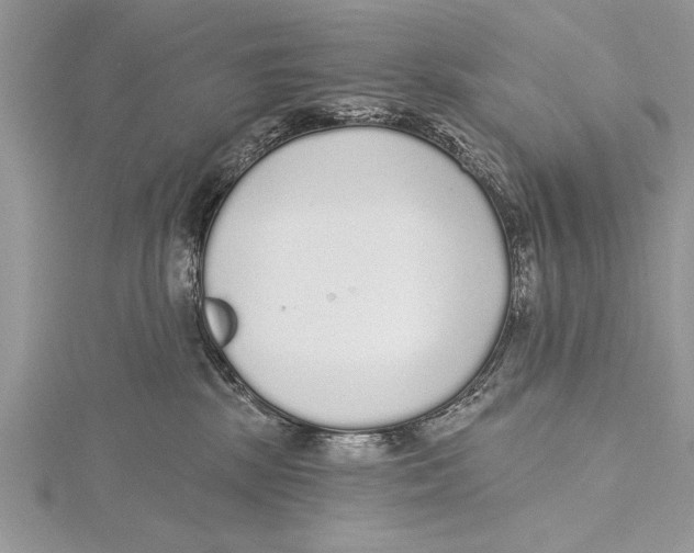 X0000115430281200912020930