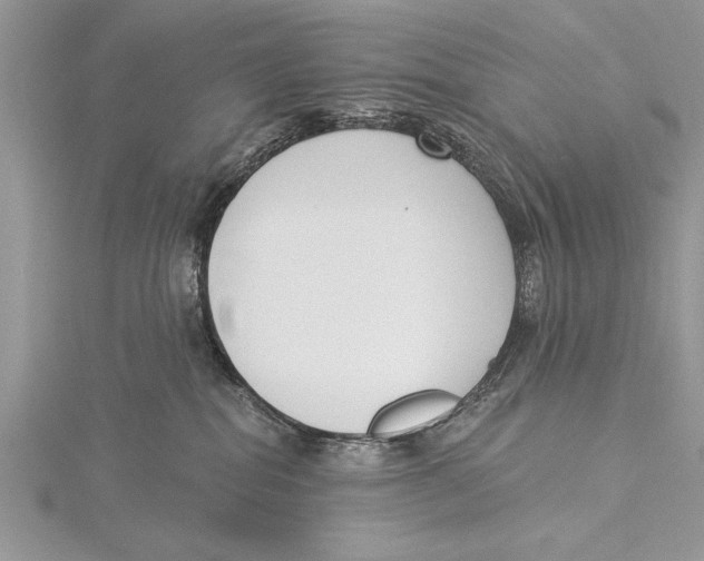 X0000115430282200912020930