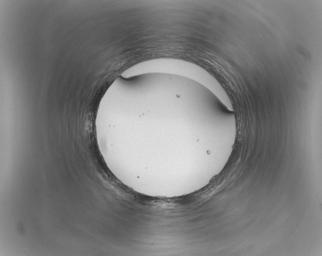 X0000115430284200912020930