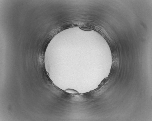 X0000115430285200912020931