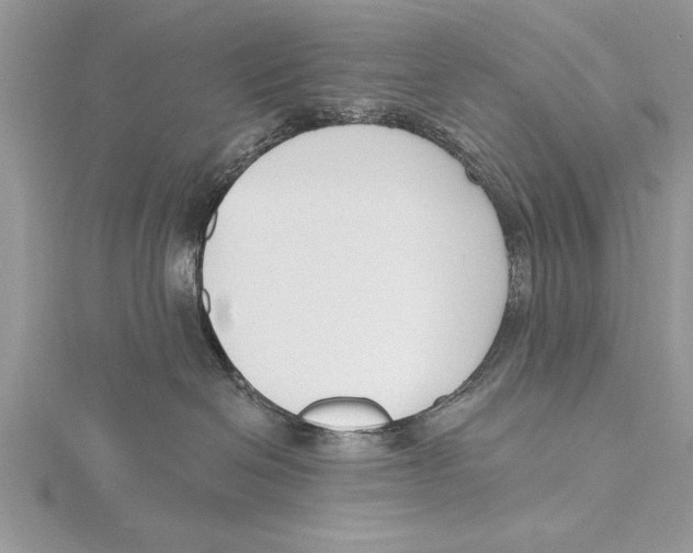 X0000115430286200912020931