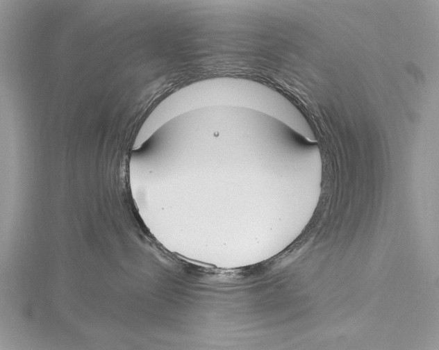 X0000115430288200912020931