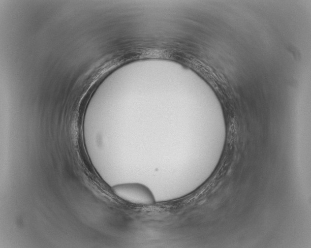 X0000115430290200912020930