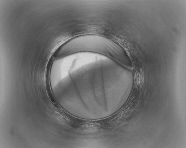 X0000115430292200912020930