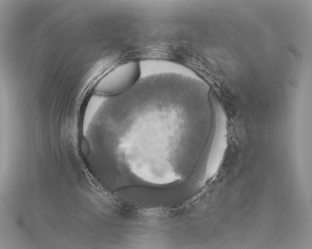 X0000115430293200912020930