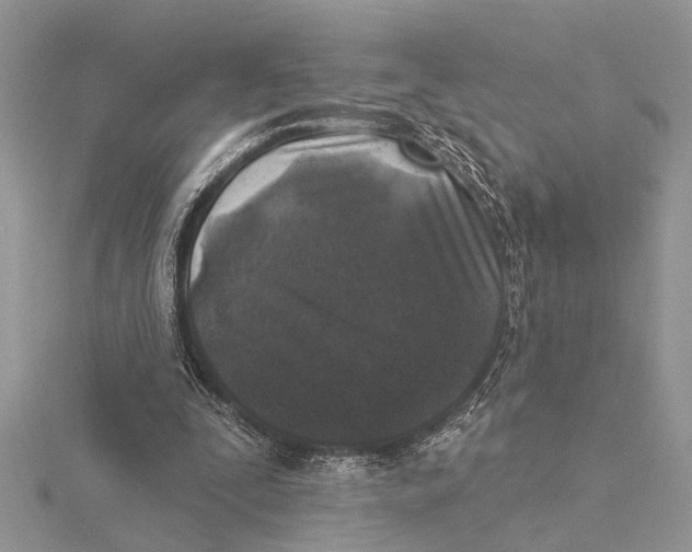 X0000115430295200912020930