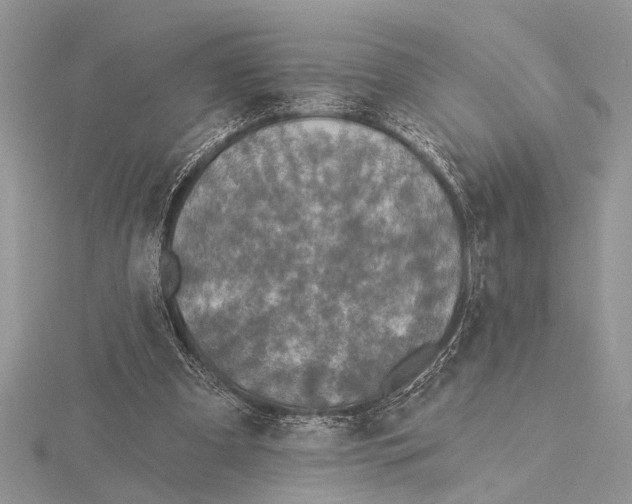 X0000115430297200912020930