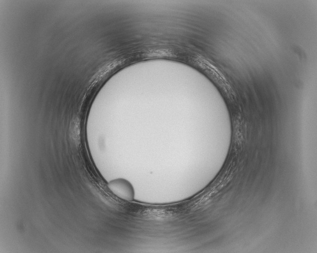 X0000115430298200912020930