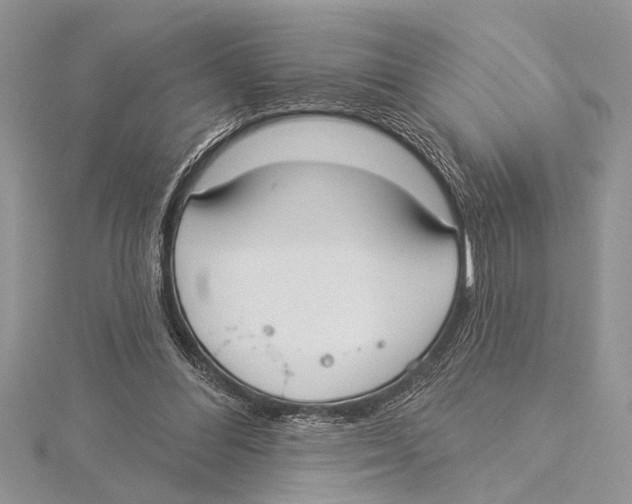 X0000115430300200912020930