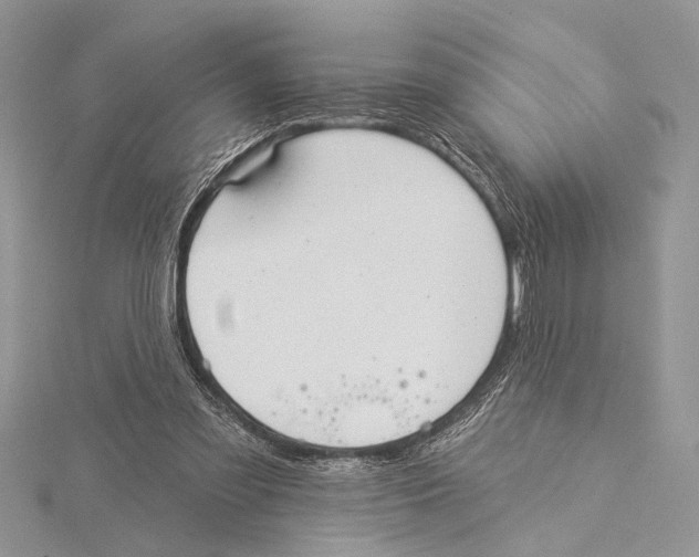 X0000115430301200912020930