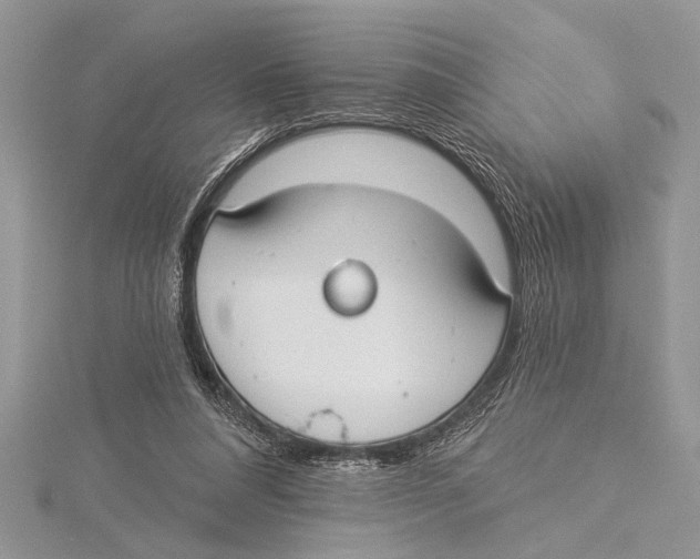 X0000115430304200912020930