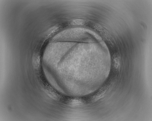 X0000115430308200912020930