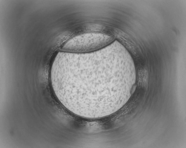 X0000115430309200912020930