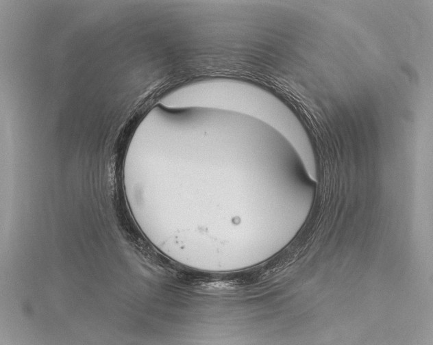 X0000115430312200912020930