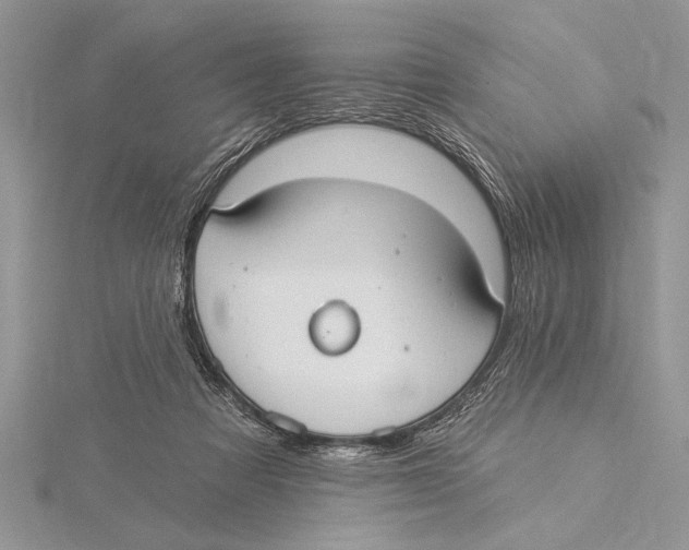 X0000115430313200912020930