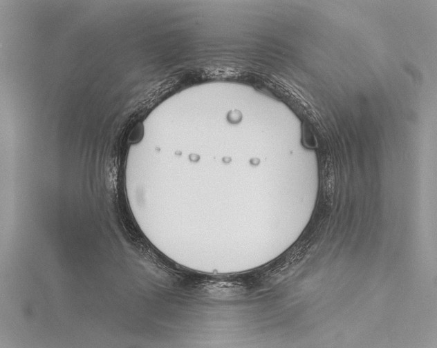 X0000115430315200912020930