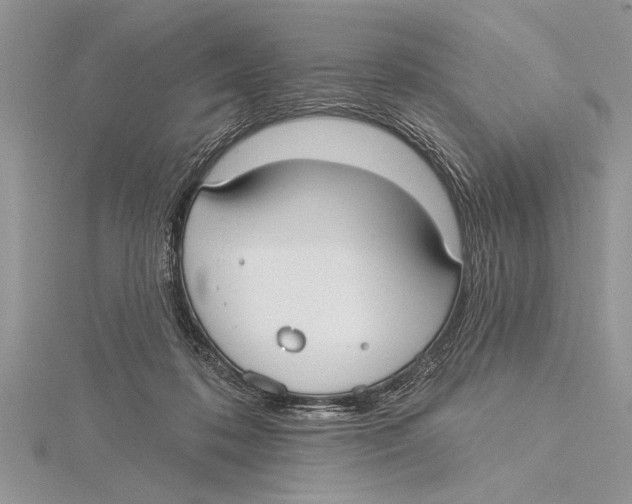 X0000115430316200912020930