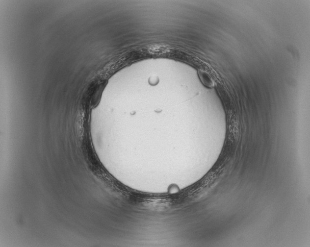 X0000115430319200912020930