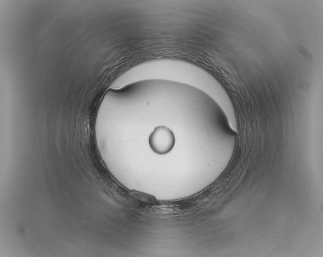 X0000115430320200912020930