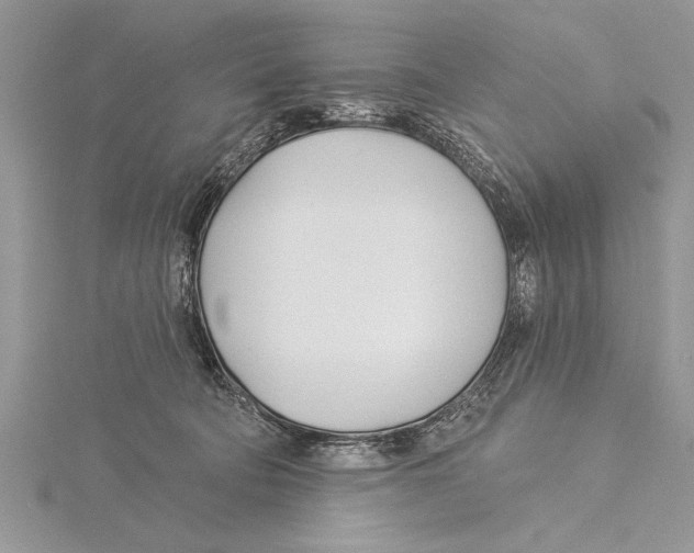 X0000115430322200912020930