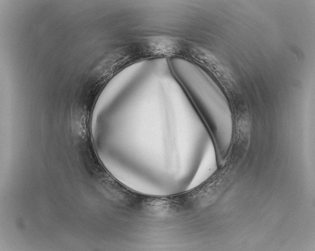 X0000115430325200912020929