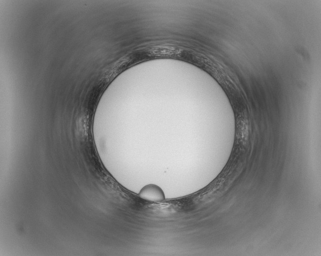 X0000115430326200912020929