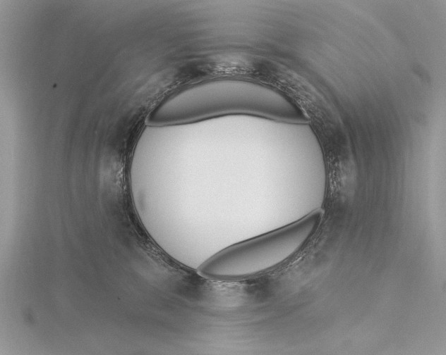 X0000115430327200912020929