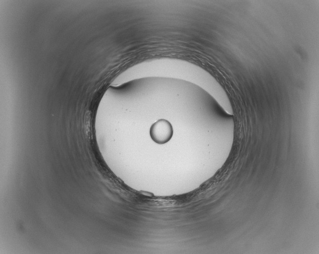 X0000115430328200912020929