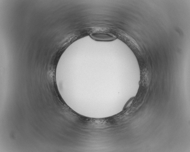 X0000115430329200912020929