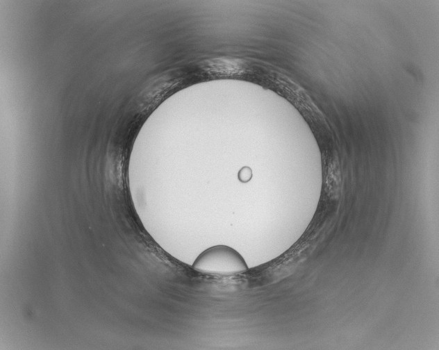 X0000115430330200912020929