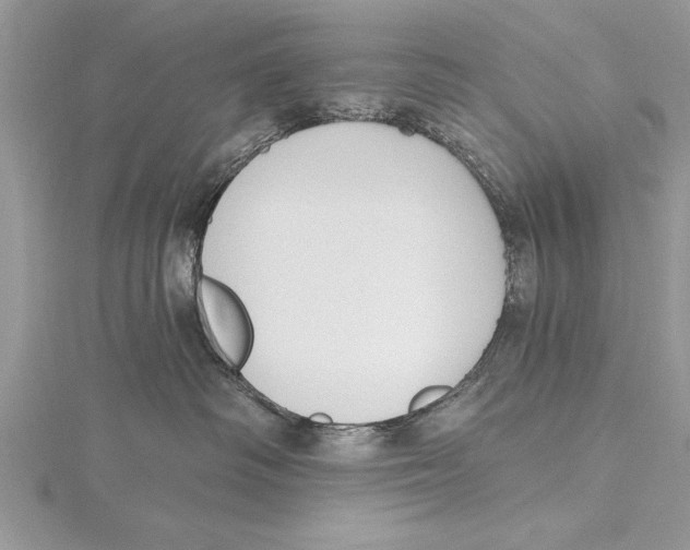 X0000115430334200912020929