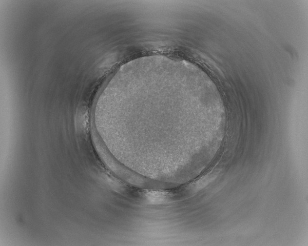 X0000115430336200912020929