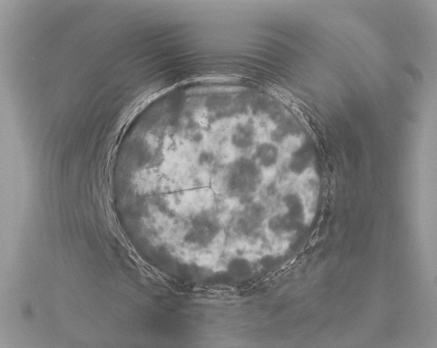 X0000115430337200912020929