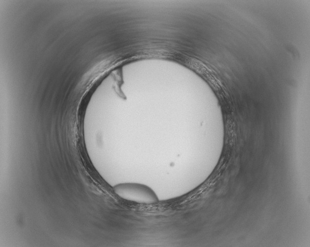 X0000115430338200912020929