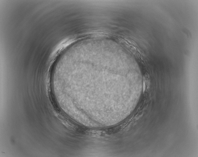 X0000115430339200912020929