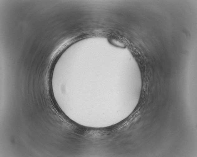 X0000115430341200912020929