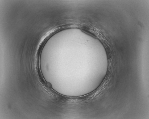 X0000115430342200912020929