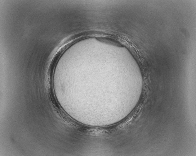 X0000115430343200912020929