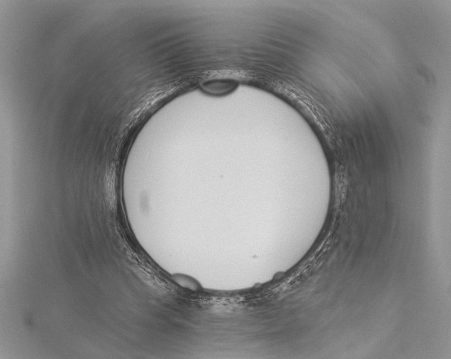 X0000115430345200912020929